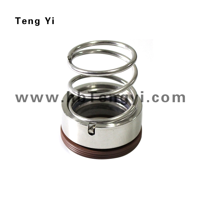 Mechanical Seal 120-17/18/19/20/22/25/28/30/32/35/38/40/43/45/50/55 High Quality Fittings